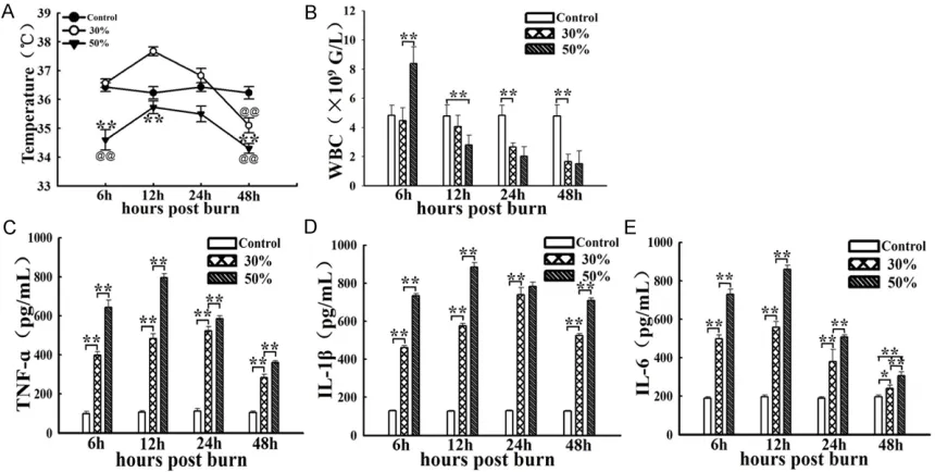 Figure 1. Comparison of systemic changes at defined timepoints post burn in 30%, 50% TBSA with a full-thickness burn groups and control group