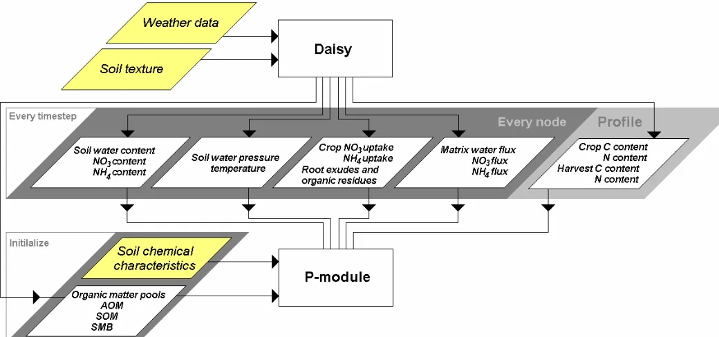 Figure 12.  Flow chart of the input and output data of Daisy and the P-module.  