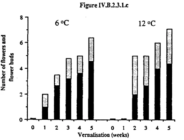 Figure IV.B.23.1.c 