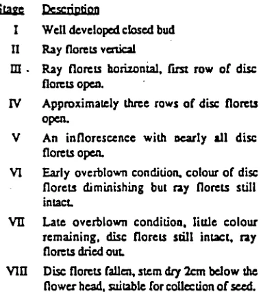 Figure 11.2.1 .a Scale of pyrethrum floral development stages 