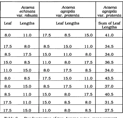 Table 6 - Randomisation of two Acaena mina measurement groups 