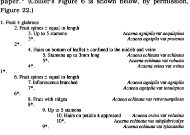 Figure 22. The summary decision key from Collier's Figure 6. 