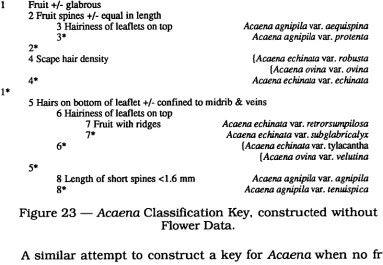 Figure 23 — Acaena Classification Key, constructed without Flower Data. 