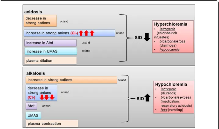 Fig. 2 Acid-base physiology according to the Stewart’s approach