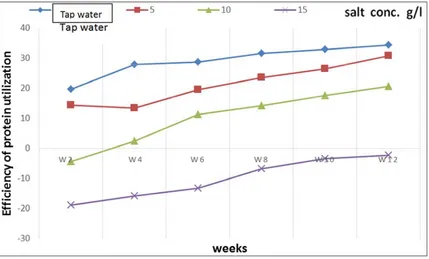 Figure 4. Efficiency of protein utilization ratio in common carp during the growing trial in different salt concentrations