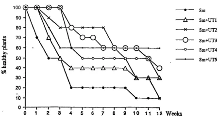 Figure 4.5.1 Relative protection of lettuces provided by bacteria antagonistic to Sclerotinia sclerotiorum in pot trialsl