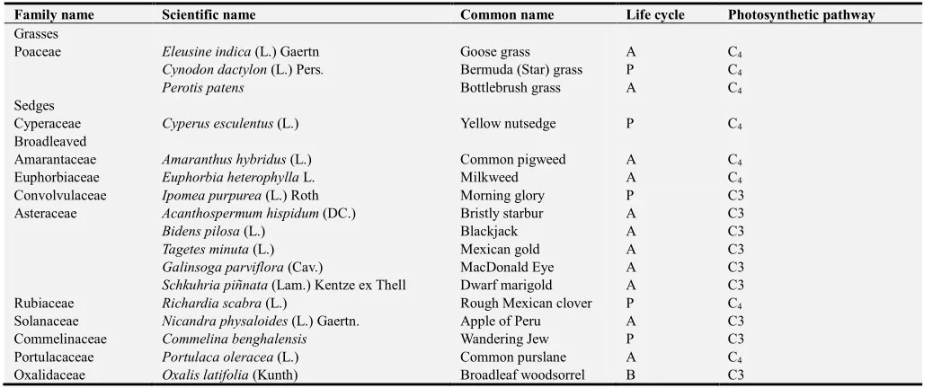 Table 1. Genera, life cycle and photosynthetic pathways of weeds observed in the experiments