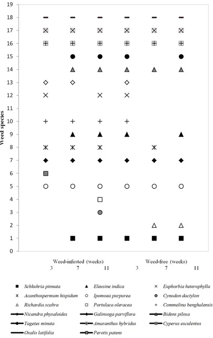 Figure 1. Seasonal prevalence of weed species under increasing duration of weed infestation and increasing length of the weed-free period