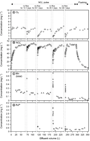 Fig. 5. Concentrations of O2, NO�3, Mn(tot.) and Fe2 + measured simultaneously in the effluent from the deepforest column (2) during intermittent flow (24.6 mm/day) and variable length of flow interruptions.