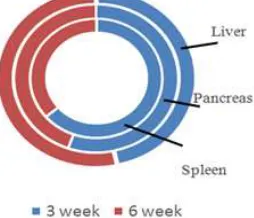 Figure 14. Liver with 3rd (a) and 5th (b) degree of severity 