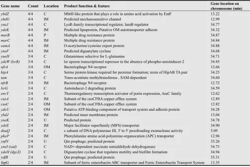 Figure 1. Agarose gel electrophoresis results for EcoRI-digested plasmids for plasmid-transfer experiments