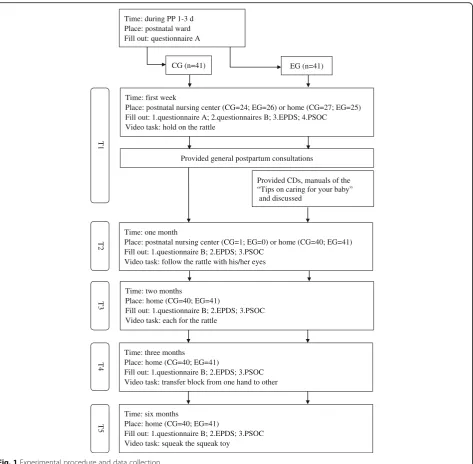 Fig. 1 Experimental procedure and data collection