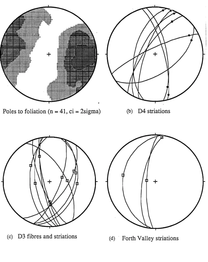 Figure  4.6:  Serpentinite structures  from  Claytons  Rivulet.  (a)  Poles  to  shape  fabric  foliation