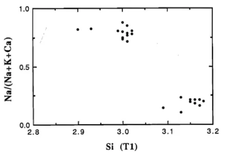 Figure  S.4: White micas - Na/(Na+K) vs. Si 4 +  (11 cations) in 75602. 