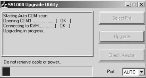 Figure 1.6: Starting Upgrade Process Window