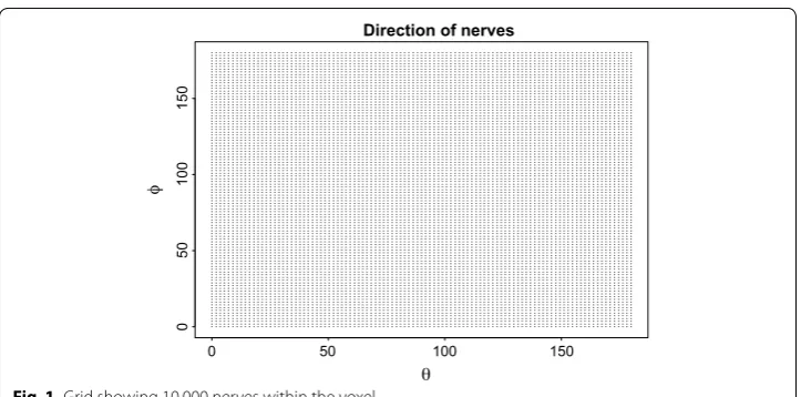 Fig. 1 Grid showing 10,000 nerves within the voxel