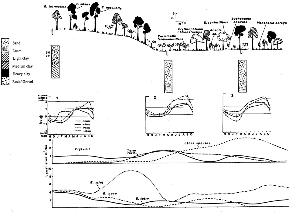 Figure 2.6 Transect 1. Tree abundances are represented as running means and the vegetation sampling points are indicated on the axis