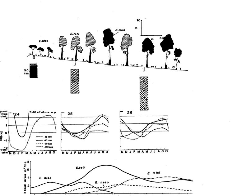 Figure 2.11 Transect 6. Tree abundances are represented as running means and the vegetation sampling points are indicated on the axis