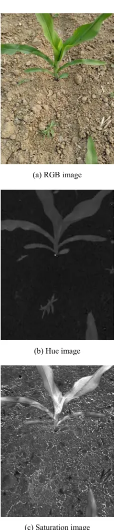 Figure 4. RGB image, hue image and saturation image. 