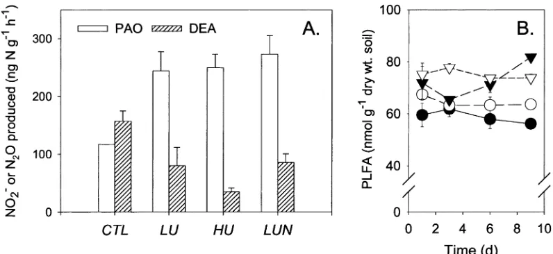 Figure 7. Potential ammonium oxidation (PAO) and denitrifying enzyme activity (DEA) by day 3 (A) and PLFA concentrations (B)