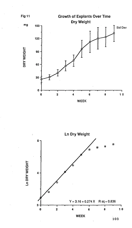 Fig 11 Growth of Explants Over Time Dry Weight 