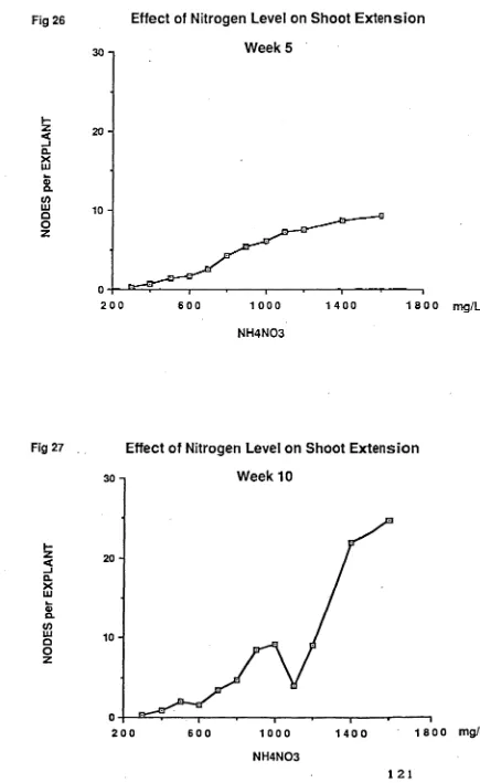 Fig 26  Effect of Nitrogen Level on Shoot Extension 