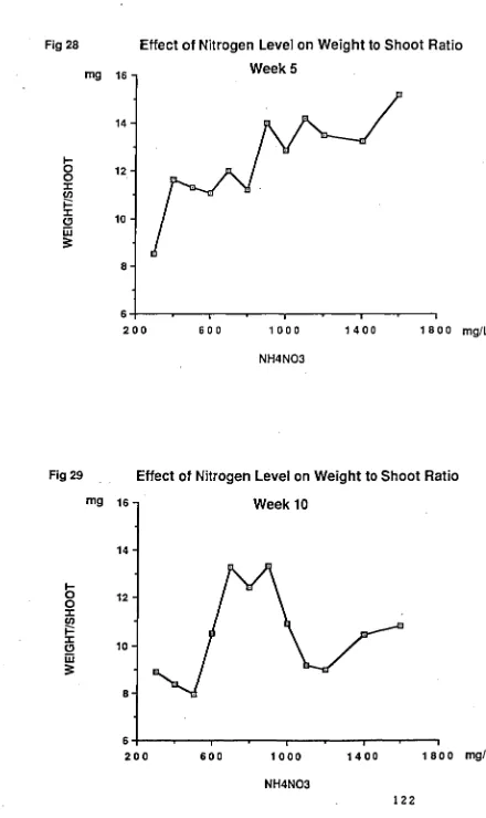 Fig 28  Effect of Nitrogen Level on Weight to Shoot Ratio 