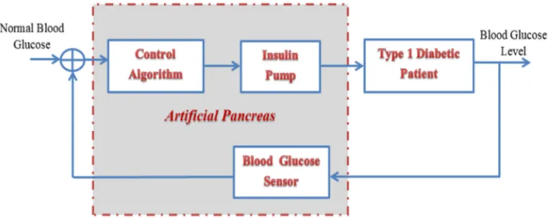 Figure 1. Closed loop insulin regulation system block diagram. 