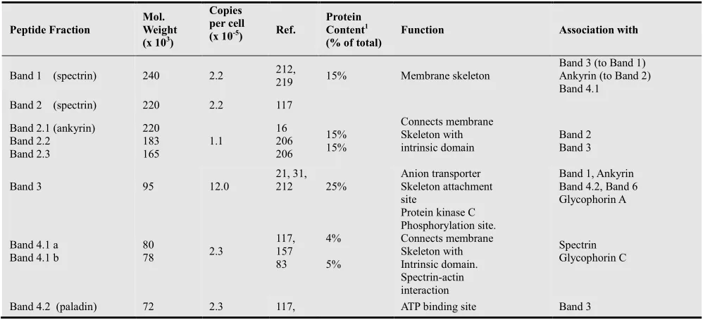 Fig.10. Chemical composition and approximate molecular configurations of the most membrane lipids