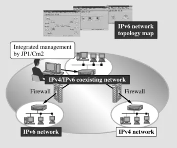 Fig. 5 —IPv6 Network Management.