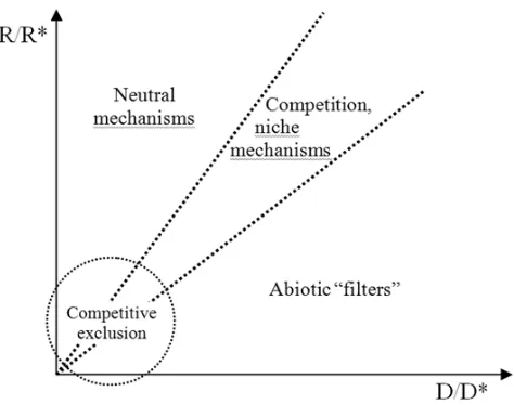 Figure 5. Increase of niches overlapping (a), increase of the optimal values of species number and decrease of niche width (b) in more stable environments