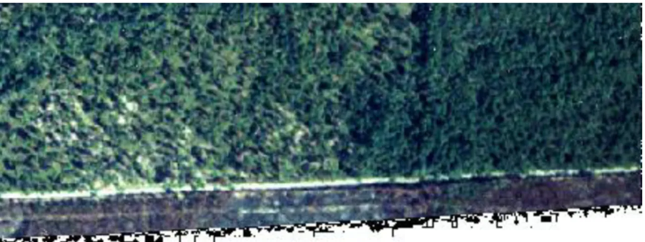 Figure 4: Speckling at the edge of an image. 