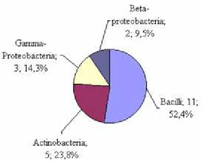 Figure 4. The proportion of clade and recombinant of gram-positive genera isolated from water of fish pond 