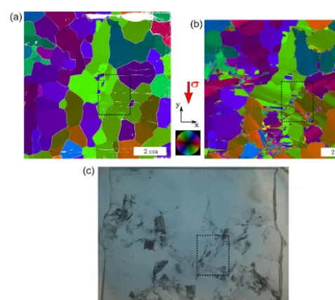 Figure 2. Evolution of the macroscopic strain and strain rate measured by DIC. Values less than 10−3 macro-strain were not calculated.