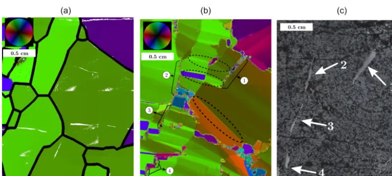 Figure 5. Studied area extracted from the sample of Fig. 3.measured by AITA after deformation