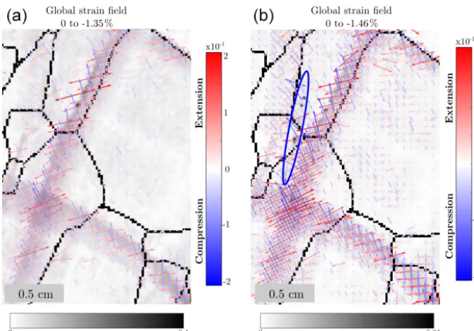 Figure 7. Strain ﬁeld increment during the 5 min before the appari-tion of cracks between −1.34 and −1.35% of macroscopic strain.(a) Pictures of the speckled surface used for the DIC