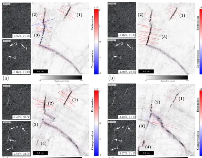 Figure 8. Four steps of 5 min strain ﬁeld increment during crack opening. (a, c) Pictures of the speckled surface used for the DIC