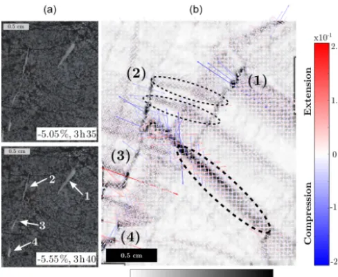 Figure 9. Increment of deformation during the last 5 min of thetest (between −5.05 and −5.55%)