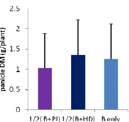 Table 5. Effect of varieties, split and timing of N application on panicle no., panicle length, spikelet no., ripening ratio, thousand grain weight, paddy yield and  harvest index at Tsukuba  
