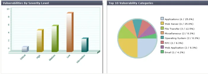 Fig. 1: Summary report showing Vulnerabilities by Severity Level and Category 