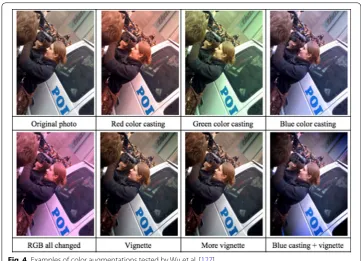 Fig. 4 Examples of color augmentations tested by Wu et al. [127]