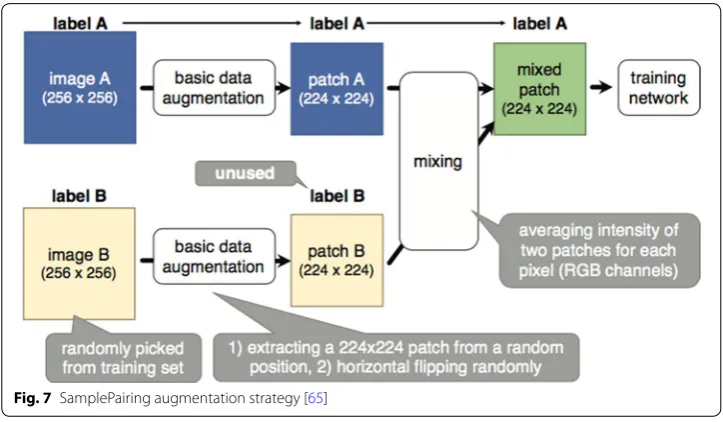 Fig. 7 SamplePairing augmentation strategy [65]