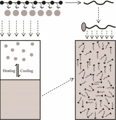 Fig. 8.4 Emergence of conditions for origin of life and evolution—formation of water as a solvent and reaction medium for self-assembling reactions