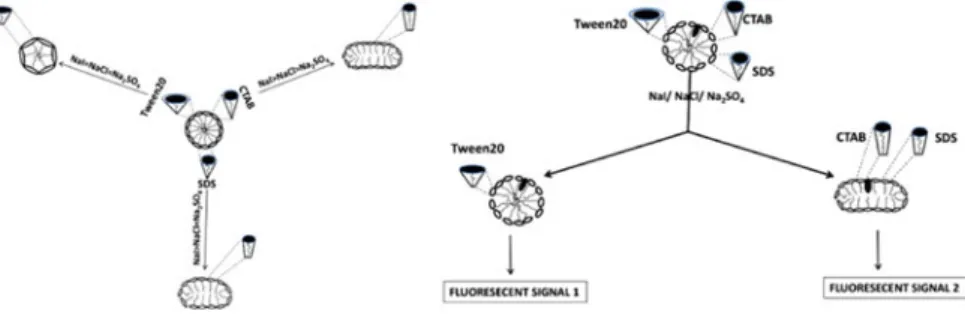Fig. 8.5 Regulation of amphiphilic self-assembly by water structure and molecular shapes (see Appendix 2 for details)
