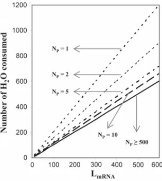 Fig. 8.6 Total number of water molecules consumed for synthesizing (transcription + translation) a protein molecule with “L mRNA /3” residues as a function of the length of the mRNA transcript (in terms of number of nucleotides) encoding for the protein mo