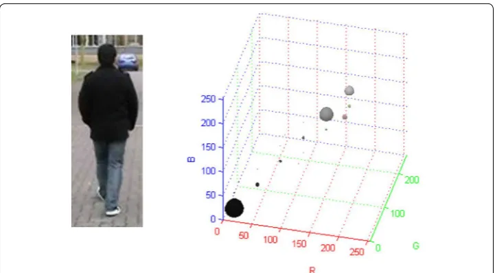 Fig. 1 3D histogram. Sample image region and its 3D histogram
