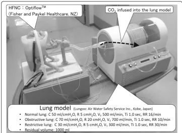 Fig. 1 The airway model. The actual airway model was made by a 3D printer using 3D-CT data