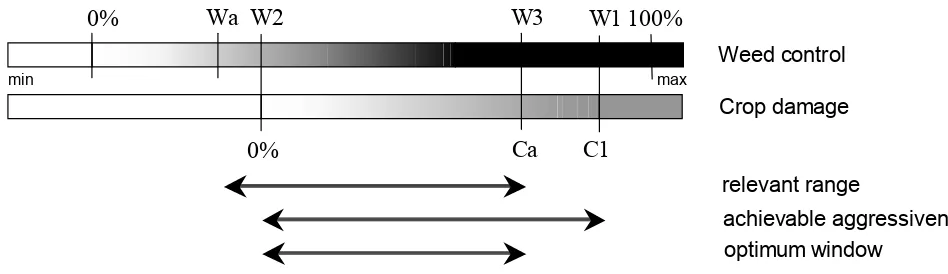 Figure 8. Hypothetical levels of weed control (top bar) and crop damage (lower bar) as related to weeding agressiveness (left = gentle, right = aggressive)