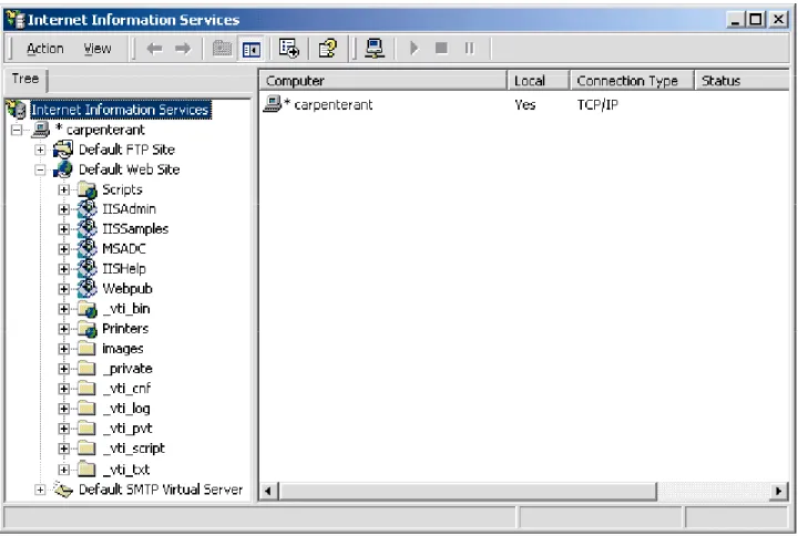Fig. 21.3 Internet Information Services window of Internet Services Manager.