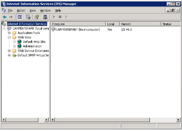 Fig. 21.8 Internet Information (IIS) Services Manager window.